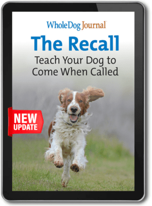 The Recall eBook from Whole Dog Journal