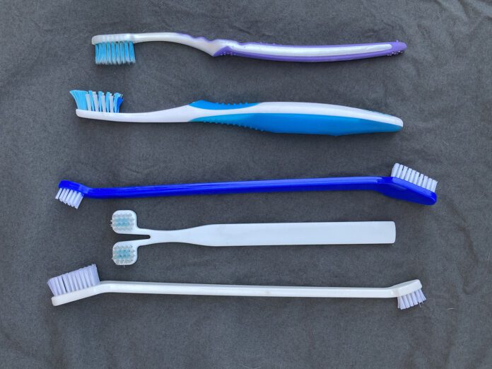 toothbrushes for dogs