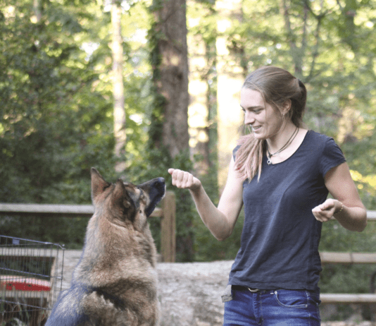 What’s Your Dog-Training “Vibe”? Woman and dog