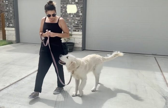 woman with dog on leash