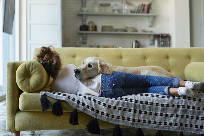 dog comforting stressed person