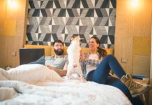 Man working on laptop in the bed, girlfriend is cuddling with their dog