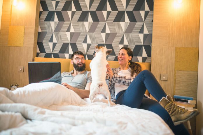 Man working on laptop in the bed, girlfriend is cuddling with their dog