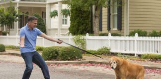 dog refusing to go with human, balking on leash