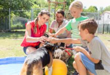 Family taking home a dog from the animal shelter giving new home