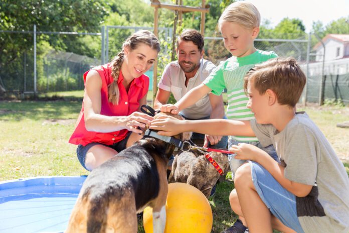 Family taking home a dog from the animal shelter giving new home