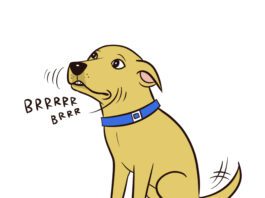 dog chattering graphic