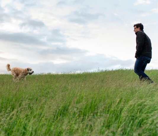 Dog running to it's male owner through a tall grassy field.