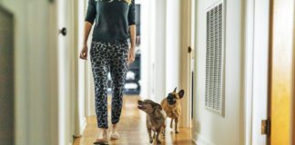 Woman and dogs walking in hallway at home