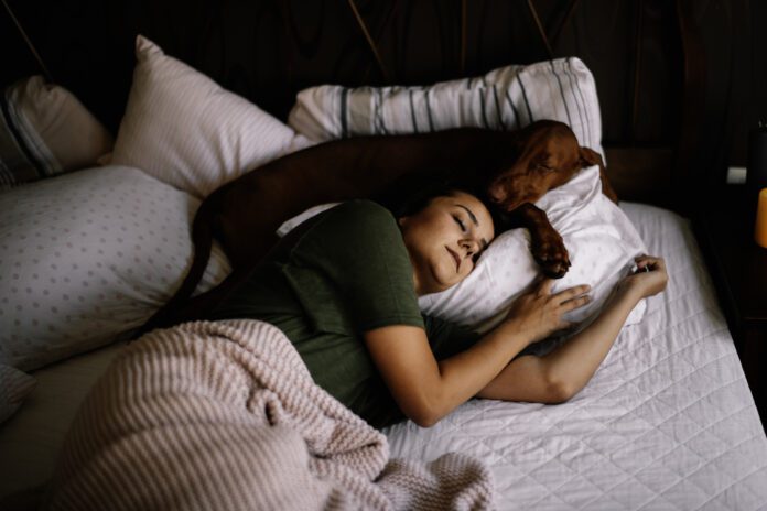 Should your dog sleep in your bed? There are several pros and cons.