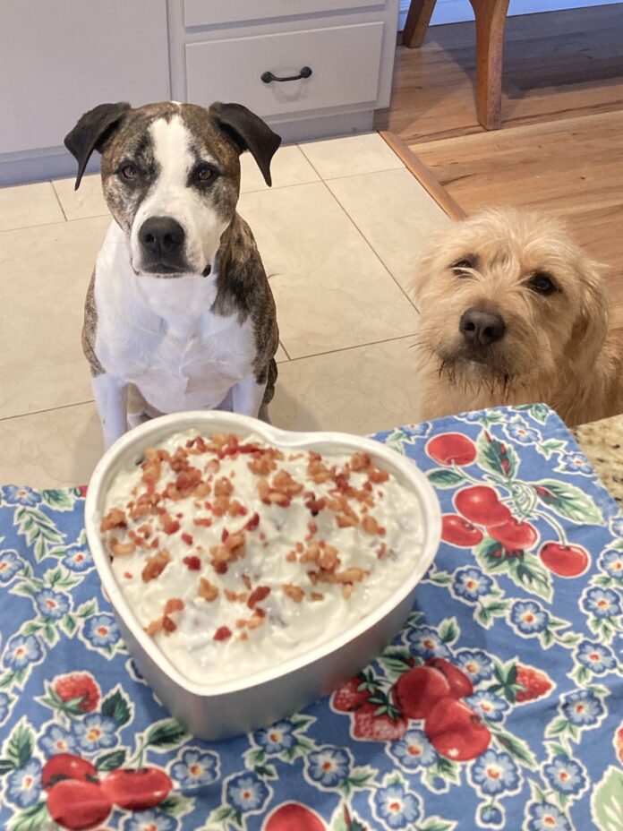 dog birthday cake