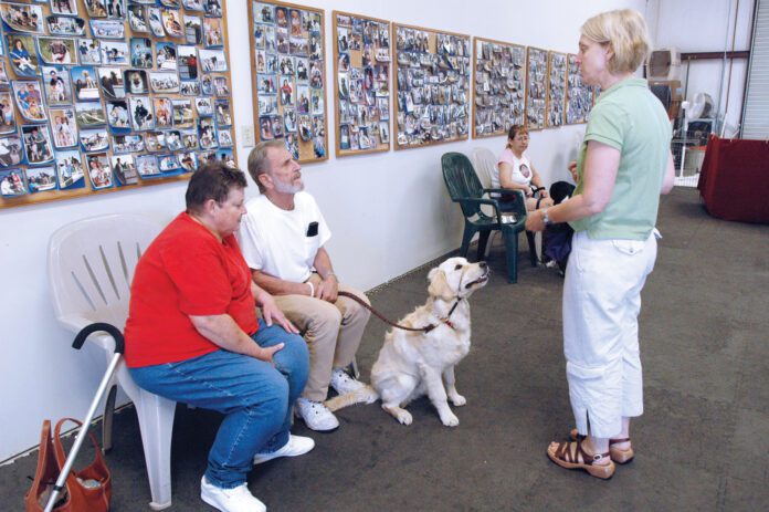 group dog training class