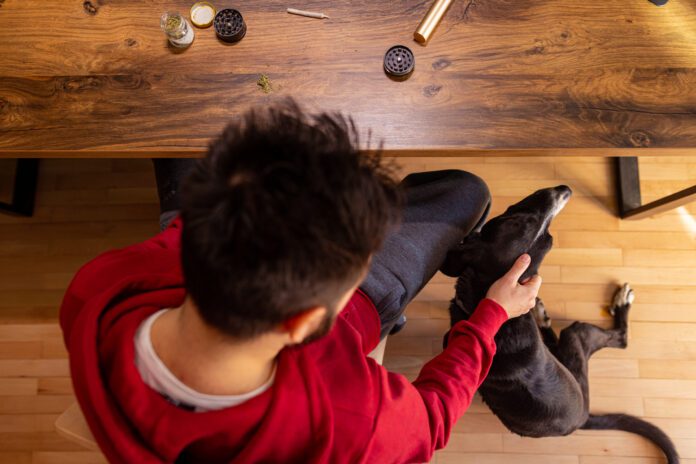 One young freelancer sitting in his office with his dog