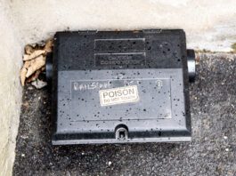 rat poison bait box