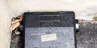 rat poison bait box