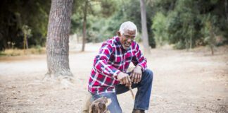 vitamins for senior dogs