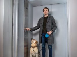 Handsome stylish man standing with labrador dog in elevator