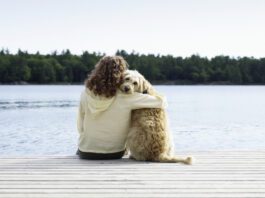 Choosing to use respectful dog training language with your dog is important for both training and your relationship.
