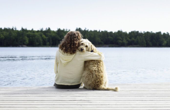 Choosing to use respectful dog training language with your dog is important for both training and your relationship.