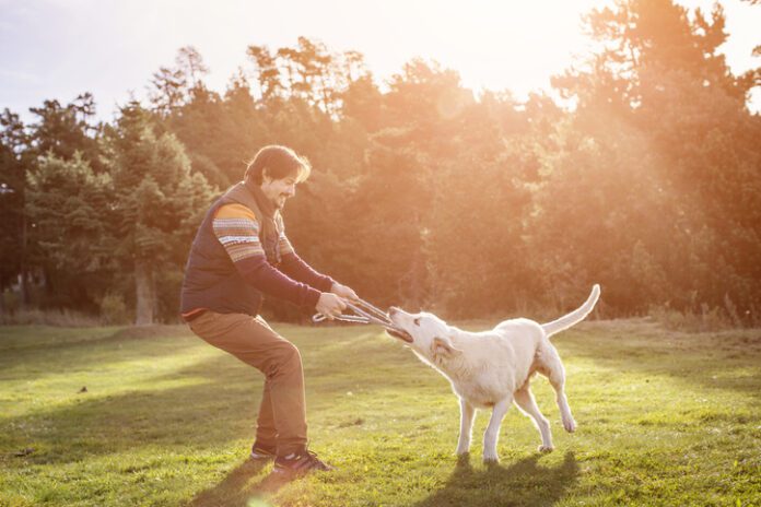 Man playing tug of war with dog in park