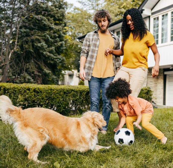 Dogs remember people, and look forward to seeing them again.