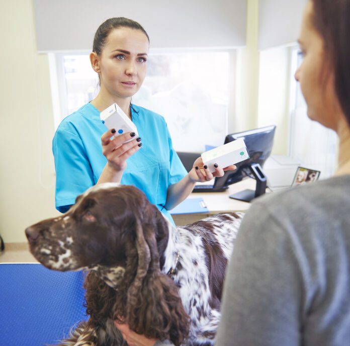 Female veterinarian giving medication to dog owner in veterinary surgery