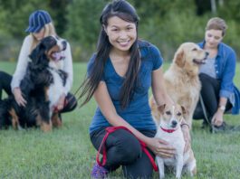 Find the Best Trainer for You and Your Dog Women With Dogs