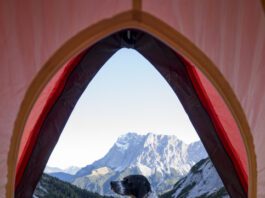 Dog sitting outside pitched tent with Tent Seebensee in background