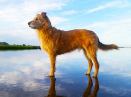 Your Kindness Is So Appreciated