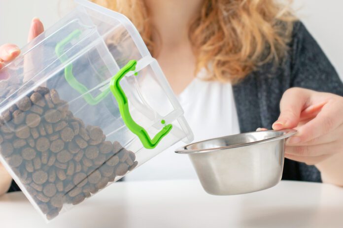 pet food storage, the owner pours dry food from the container box into the dog bowl, cat feed