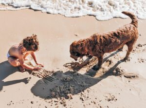 top view of a two-year-old girl and her chocolate Labrador retriever dog playing with the sand on the beach.