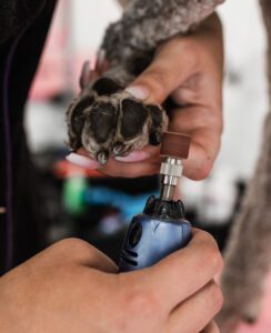 Nail grinders offer an extra layer of smoothness when trimming dog nails, but the noise and vibration disturbs