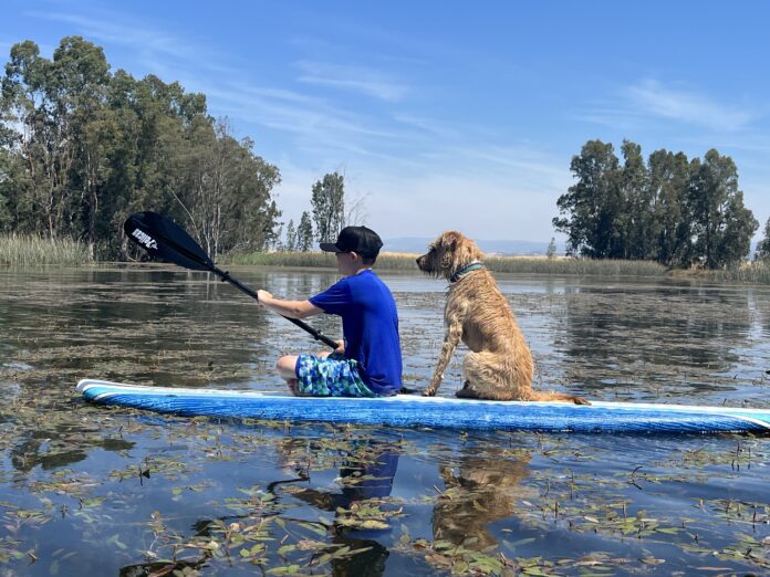 Boone now associates our older grandson with unpredictable adventures – and he’s there for it!