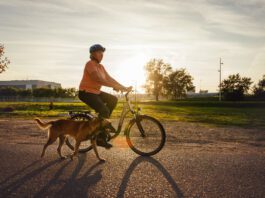 Senior woman riding bicycle and walking Malinois dog