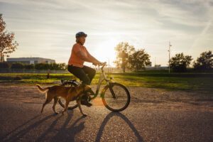 Senior woman riding bicycle and walking Malinois dog