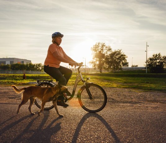 Senior woman riding bicycle and walking Malinois dog