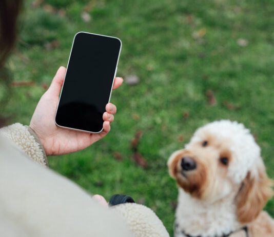 Close up of young woman using smartphone while walking her dog at the park