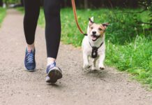 Woman running with dog to workout during morning walk