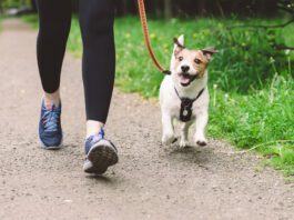 Woman running with dog to workout during morning walk
