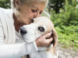 Taking Care of Your Senior Dog eBook from Whole Dog Journal