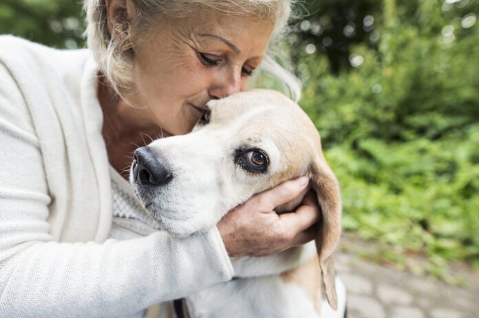 Taking Care of Your Senior Dog eBook from Whole Dog Journal