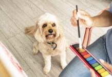 Close-up of mature woman sitting with dog while painting on canvas at home