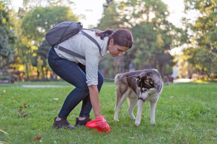 Woman picking dog poo in plastic bag