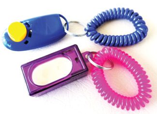 Clickers for dog training make a sharp clicking noise when pressed helping to cue a dog.