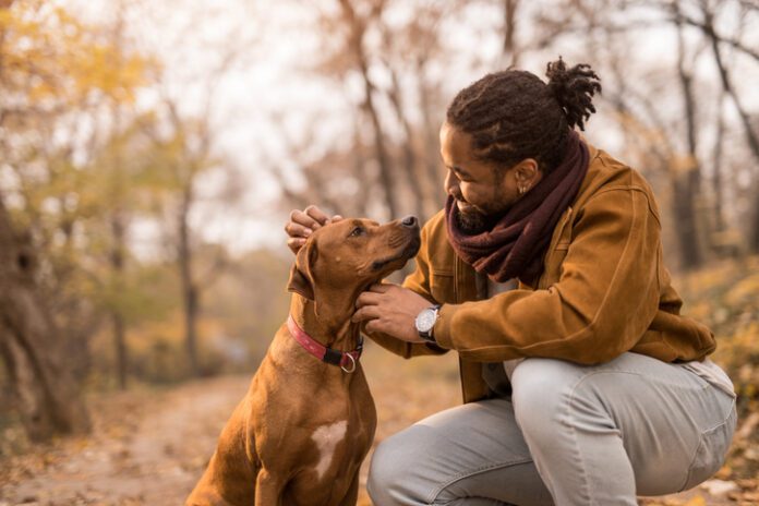 Cheerful young African American man showing love to his dog a Rhodesian Ridgeback.