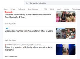 A list of news stories about dogs reunited with their families.
