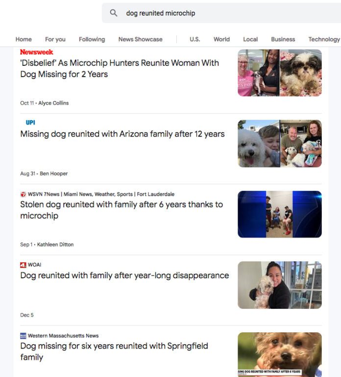 A list of news stories about dogs reunited with their families.