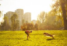 A golden retriever runs towards it's female owner during playtime in the park.