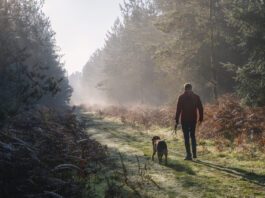 The symptoms of heartworms in dogs start small but get increasingly serious without treatment.