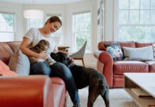 A woman introducing a cat to a dog, the cat is clearly upset.